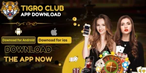 Tigro club app